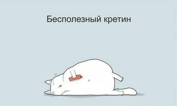 1e1ec28c2dd2a16e6a3e55bf08abac3f.jpg