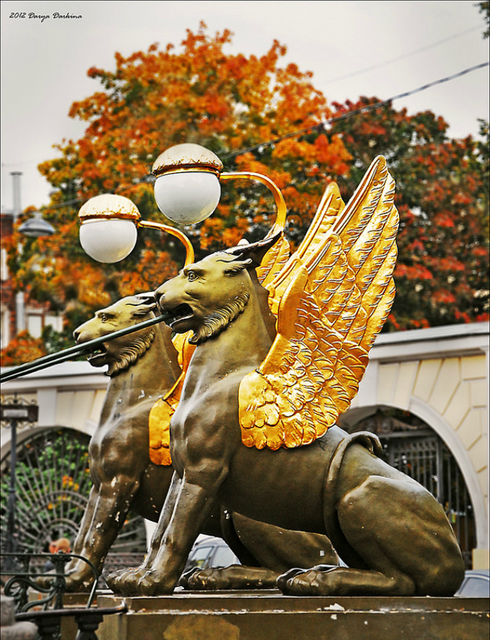 Банковский мост в санкт петербурге картинки