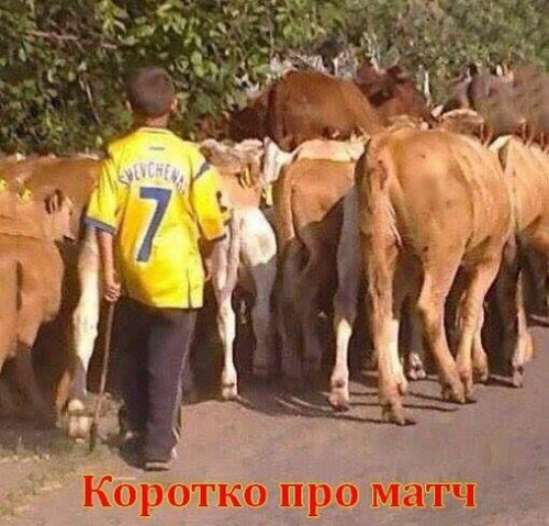Зображення