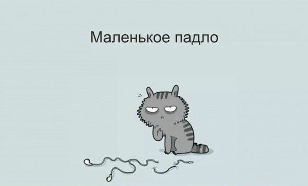 5a57cc9f123bbf248d506ffed66d9fea.jpg