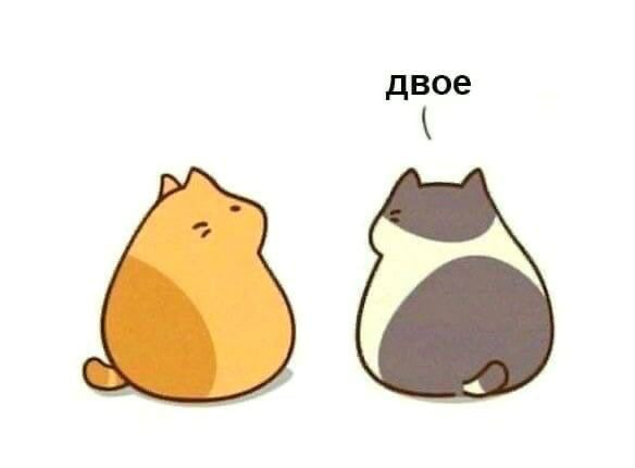 68426c341586e93eebe10e95ebd04cfe.jpg
