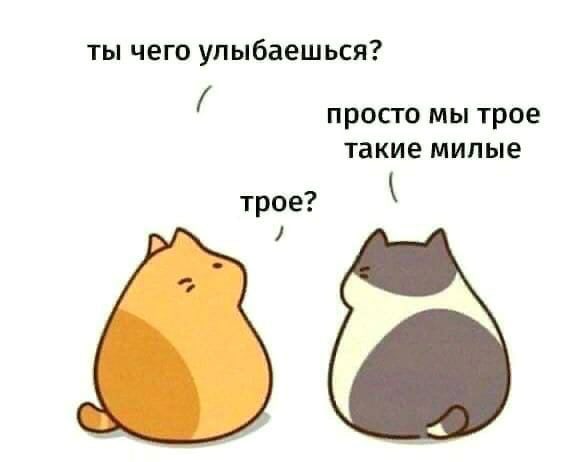 ab91598c33a321b93ff4989919dd0aa7.jpg