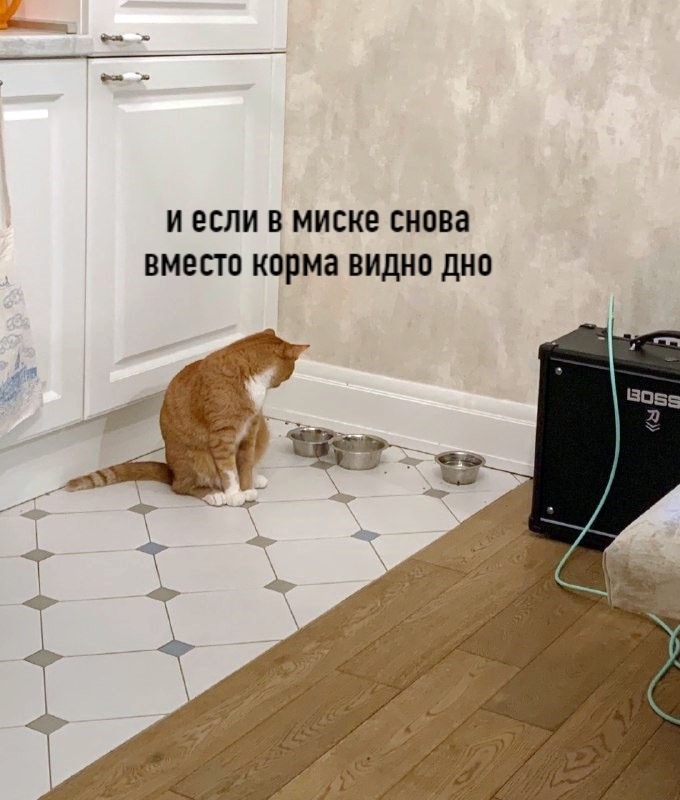 cb4aeac961f6ac4a6b304dea79ce8c16.jpg