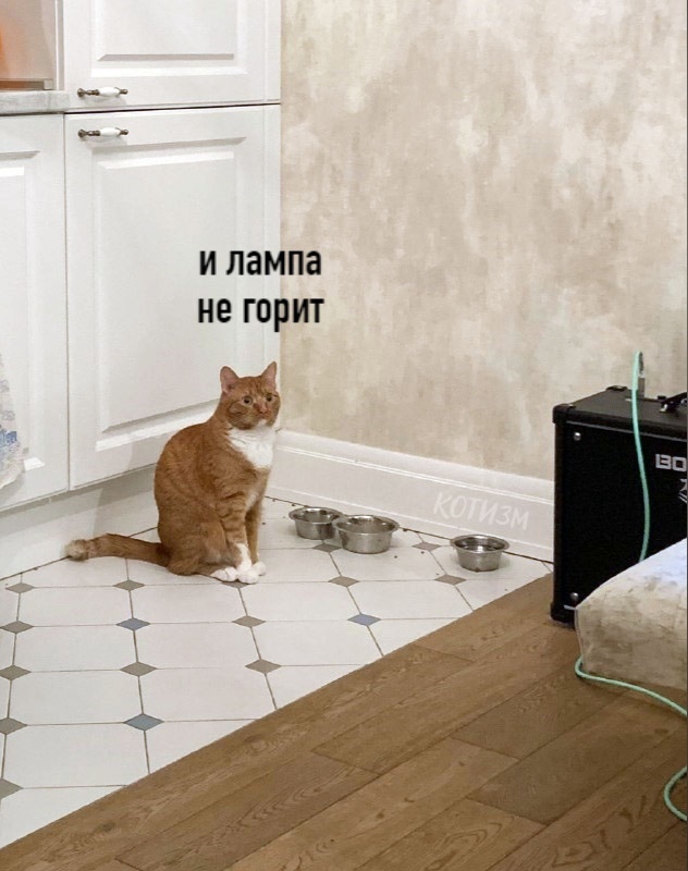 fa138ecf6b8140bce8769f9350f6c586.jpg