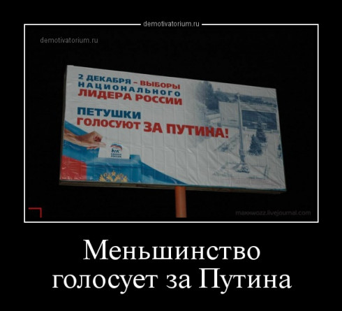 пет.jpg