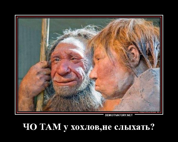 ЧО ТАМ.jpg