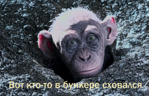 Yes