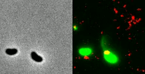 1e6df51787221447a8d71deceae42623.gif