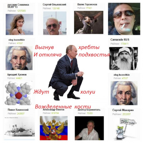 холуи.jpg