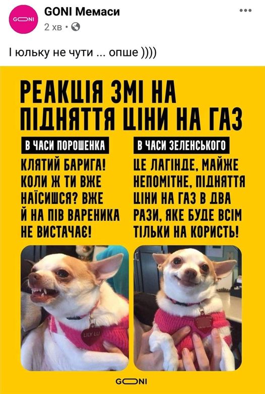 Зе!Подарки, ждуны, новогоднее выступление Президента. Свежие ФОТОжабы от "Цензор.НЕТ" - Цензор.НЕТ 1887