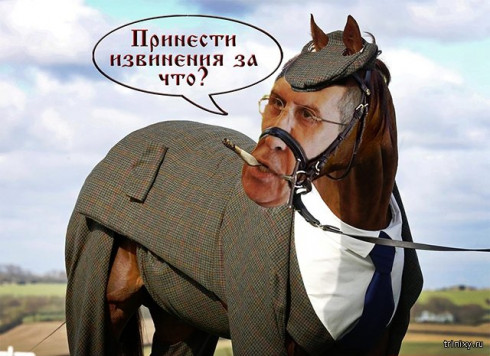 Обкуренный мерин.jpg