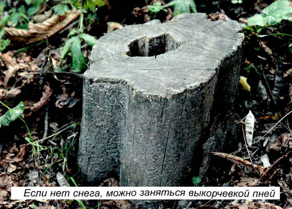 дача зимой