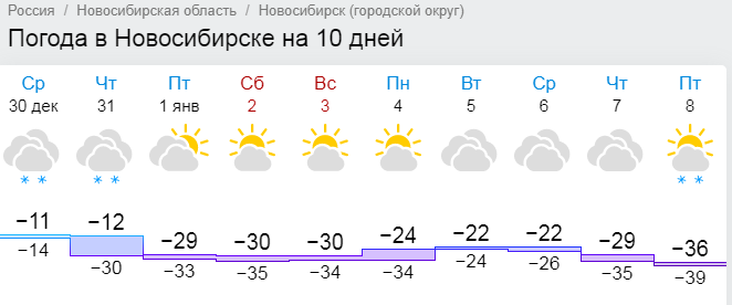 Погода в г новосибирске на 10