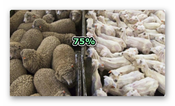 Дубинский - Арахамии: Создание антикризисного штаба по тарифам - это самое то, когда нужно что-то про#бать и похерить - Цензор.НЕТ 3901