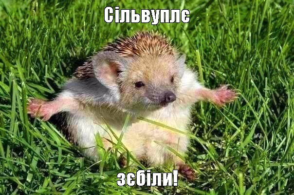Зеленський у новому відео відзвітував про виконання передвиборчих обіцянок: Газ по 6,99 грн і доступна іпотека. Працюємо, щоб у ваших домівках було тепло, а в гаманцях - не було порожньо - Цензор.НЕТ 3783