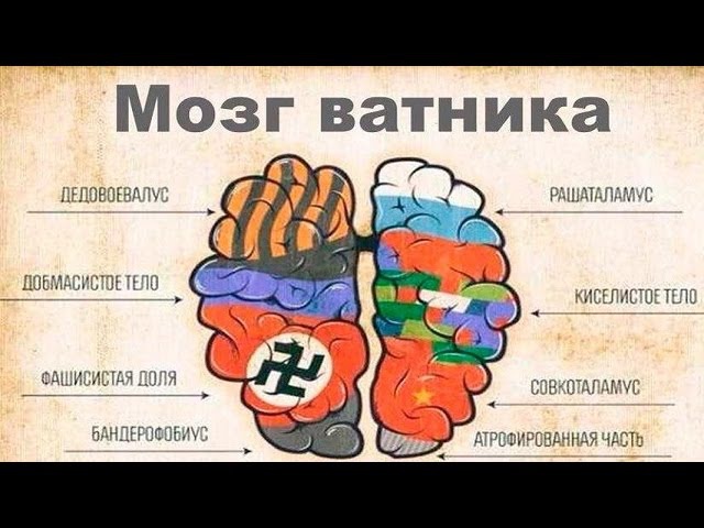 Мозг ватника картинка