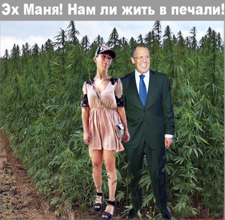 маняконопля.PNG