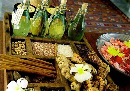Тоники Аюрведы: Шатавари и Арджуна