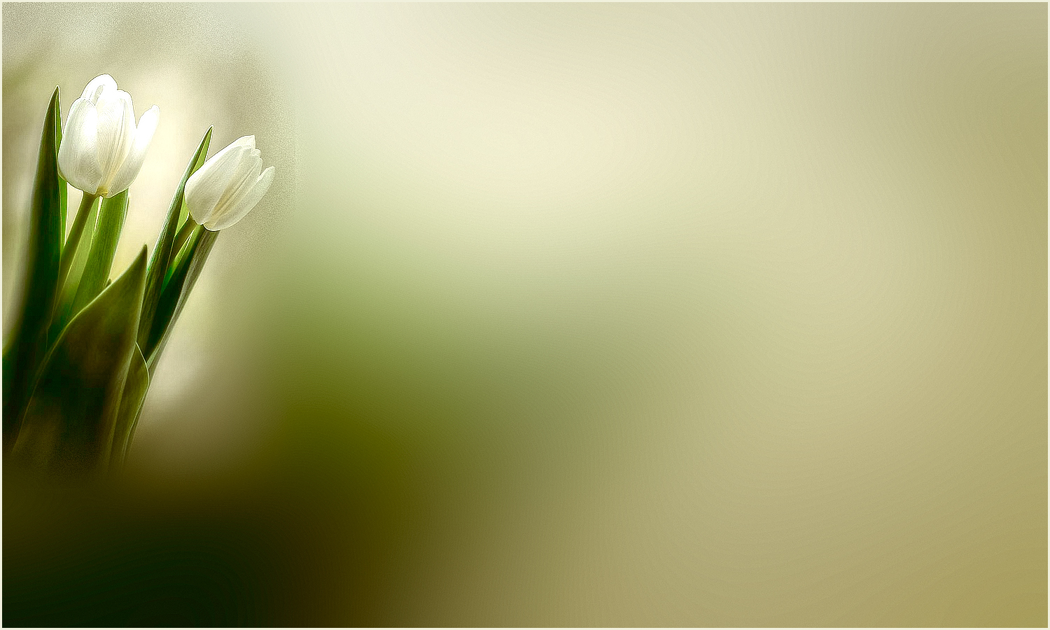  (300x169, 6Kb)