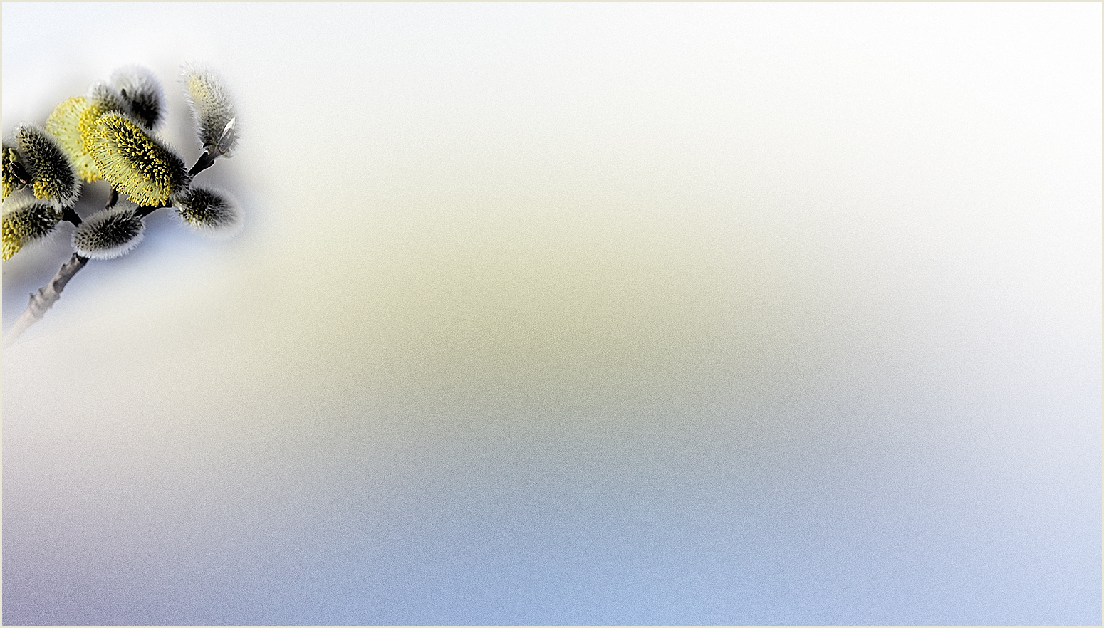  (300x169, 6Kb)