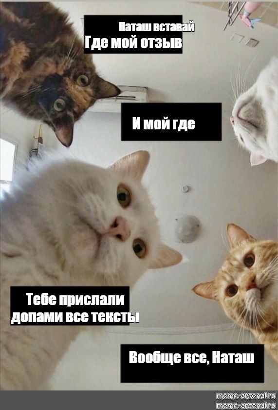 e5a3af1b172d08d59ae8f52b543e27c5.jpg