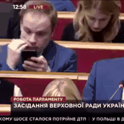 Нардеп "Голоса" Устинова внесла в декларацию "собаку-тапки-погрызяку" и "котика-муркотика" - Цензор.НЕТ 199