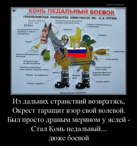 КОНЬ.jpg