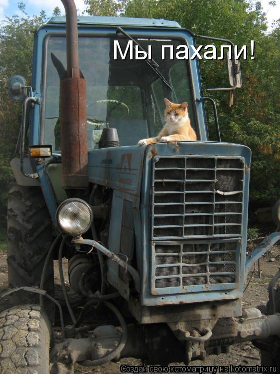 "Це вирішить низку питань", - Зеленський підтримав бажання Байдена зустрітися з Путіним - Цензор.НЕТ 1157