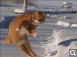 3580e5e43d3bf921fae4683e5d77997b.png