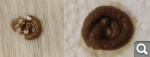 c6c7dd07e3088f34d14ce86018e0a18f.png
