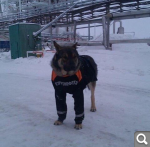 Показать в полный размер