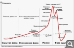 Показать в полный размер